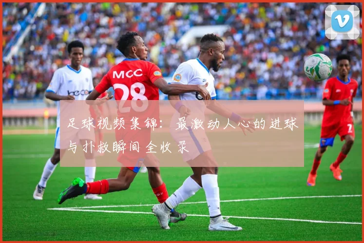 足球视频集锦:最激动人心的进球与扑救瞬间全收录