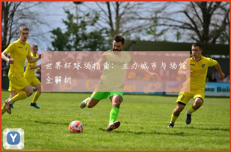 世界杯球场指南：主办城市与场馆全解析