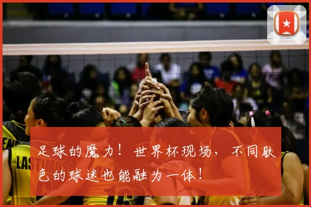 足球的魔力！世界杯现场，不同肤色的球迷也能融为一体！
